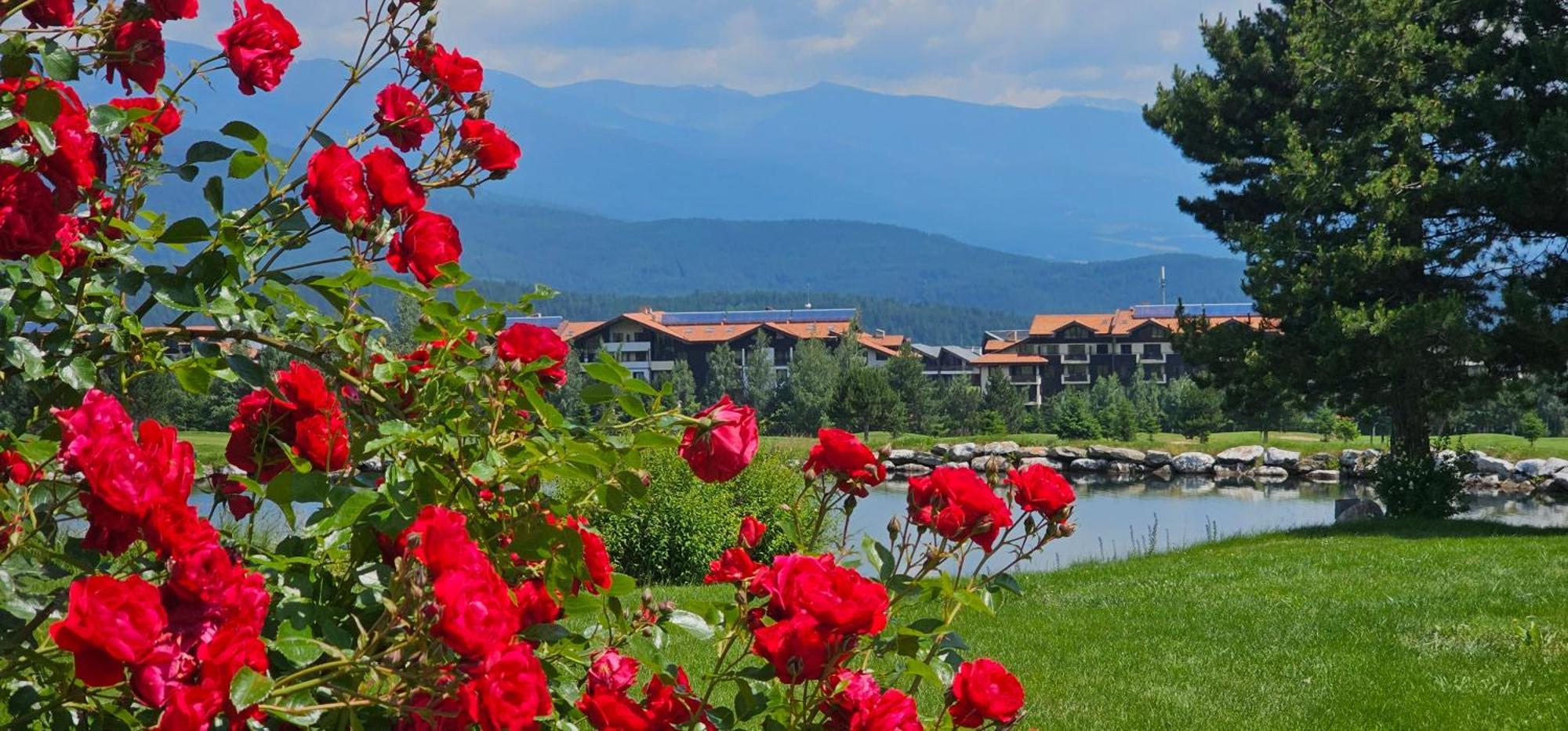 Green Peaks Suite In Pirin Golf & County Club 라즐로그 외부 사진