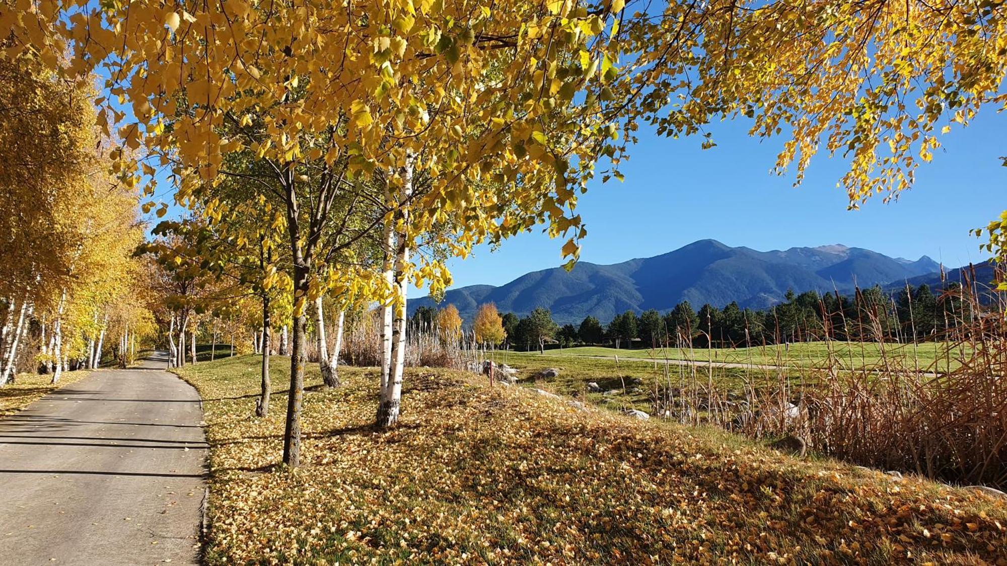 Green Peaks Suite In Pirin Golf & County Club 라즐로그 외부 사진