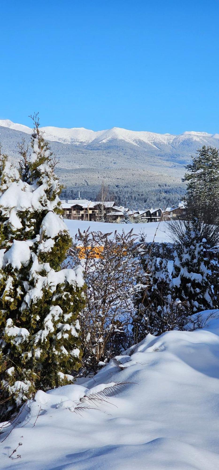 Green Peaks Suite In Pirin Golf & County Club 라즐로그 객실 사진