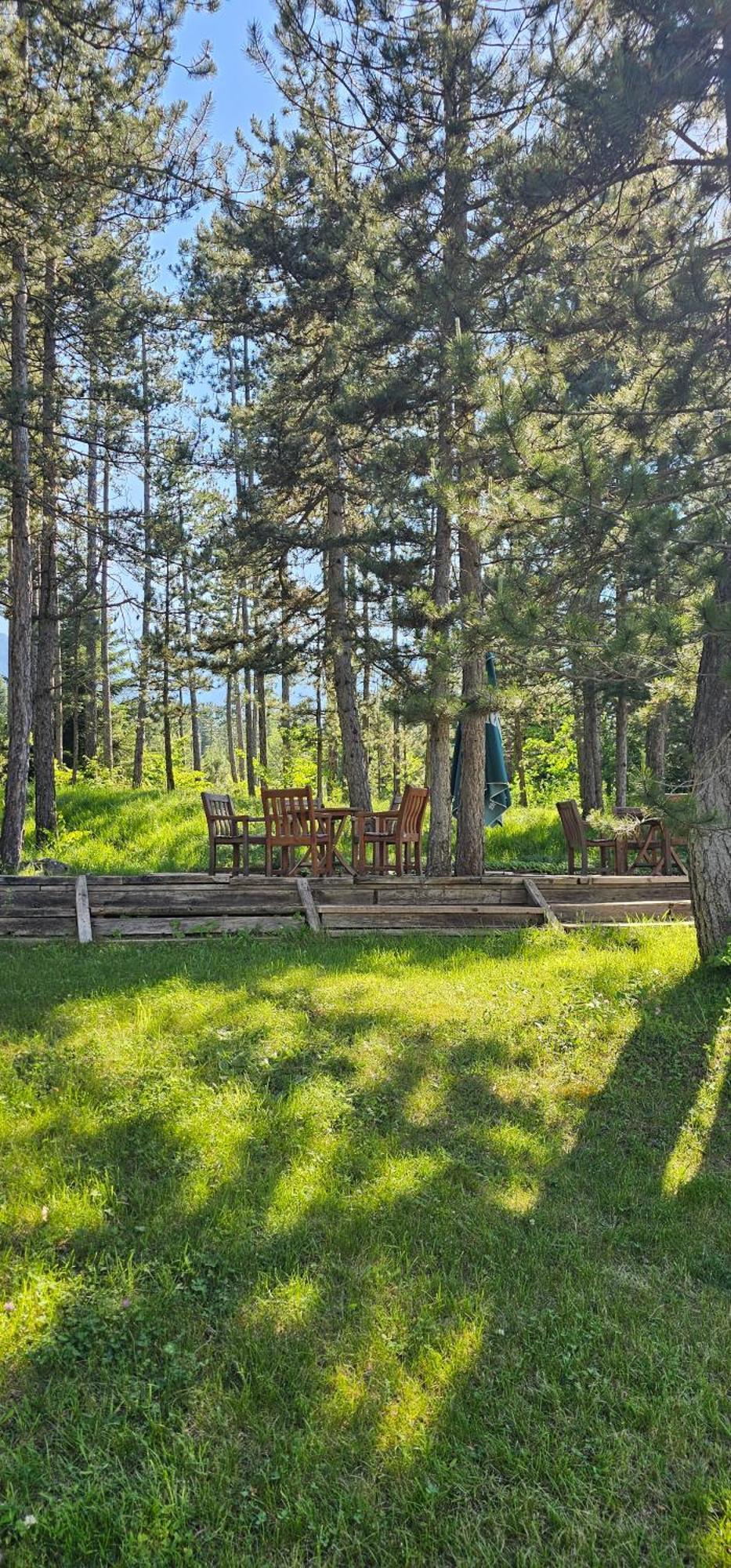 Green Peaks Suite In Pirin Golf & County Club 라즐로그 객실 사진