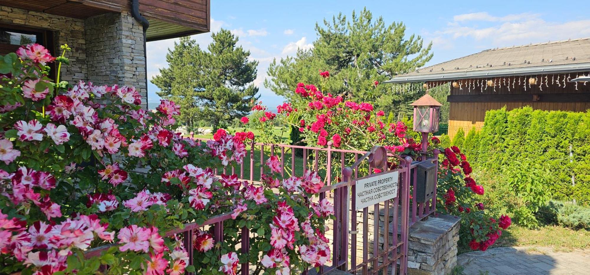 Green Peaks Suite In Pirin Golf & County Club 라즐로그 외부 사진
