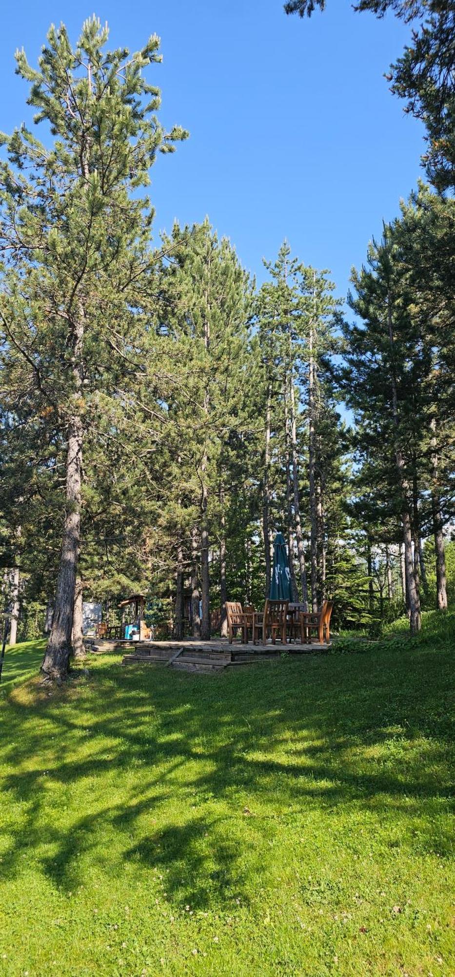 Green Peaks Suite In Pirin Golf & County Club 라즐로그 객실 사진